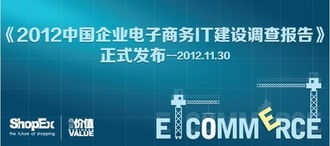 中国企业电子商务IT建设报告今日发布